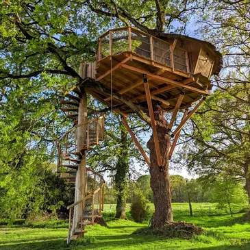 Cabane dans les Arbres à La Chapelle-Chaussée