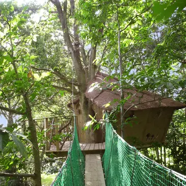 Cabane dans les Arbres à La Chapelle-Chaussée en région Bretagne