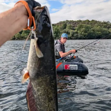 Pêche au gros en région Bretagne