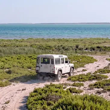 Randonnée Safari en 4x4 à Arles en Camargue Randonnée Safari en 4x4 à Arles en Camargue