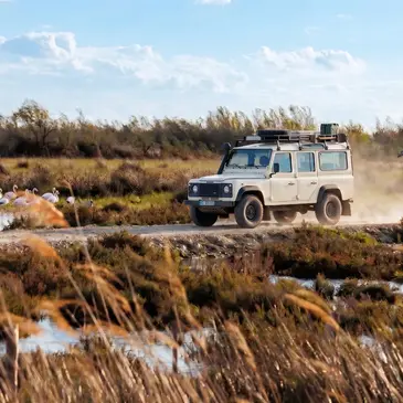 Randonnée Safari en 4x4 à Arles
