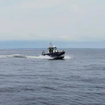 Pêche au gros, département Pyrénées atlantiques Pêche au gros, département Pyrénées atlantiques