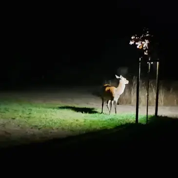 La Bretenière, Jura (39) - Weekend et Hébergement Insolite