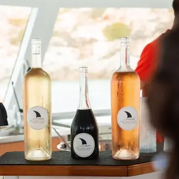 Balade en bateau en région PACA et Corse