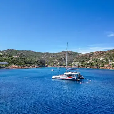 Sortie en Maxi-Catamaran à Saint-Raphaël