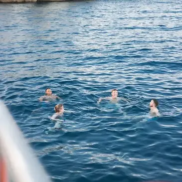 Réserver Balade en bateau département Bouches du Rhône
