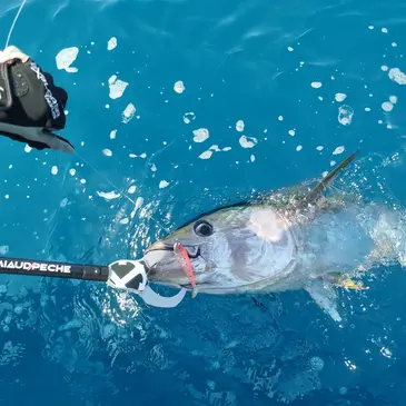 Pêche au gros proche Frontignan Pêche au gros proche Frontignan
