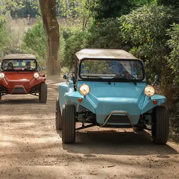 Quad & Buggy en région PACA et Corse