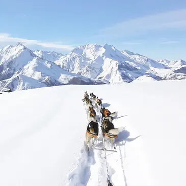 Randonnée en Chiens de Traîneau au Val d'Azun