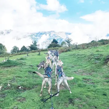Randonnée en Cani-Kart au Val d'Azun