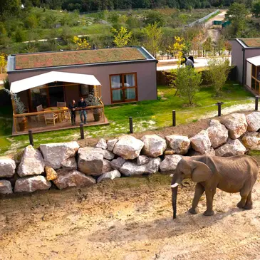 Dormir avec les Éléphants au Zoo de Thoiry