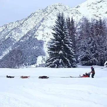 Station de ski d'Hautacam, Hautes pyrénées (65) - Chien de Traîneau