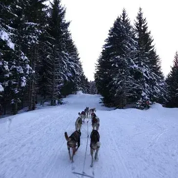 Hautes pyrénées (65) Midi-Pyrénées - Montagne - Sports d'Hiver