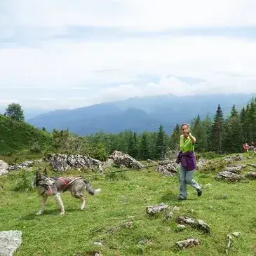 Randonnée en Cani-Rando au Val d'Azun Randonnée en Cani-Rando au Val d'Azun