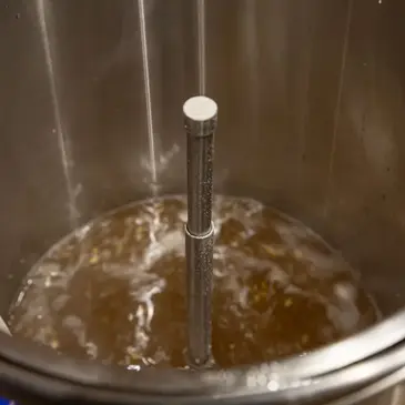 Cours d'œnologie proche Saint-Maximin-la-Sainte-Baume