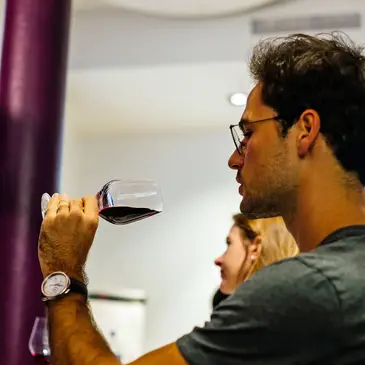 Cours d'œnologie proche Bordeaux