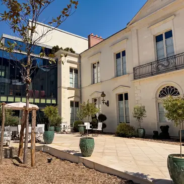 Cours d'œnologie en région Pays-de-la-Loire