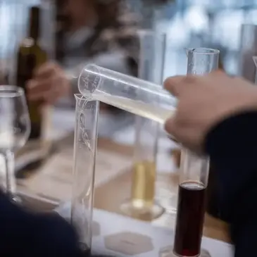 Cours d'œnologie en région Rhône-Alpes Cours d'œnologie en région Rhône-Alpes