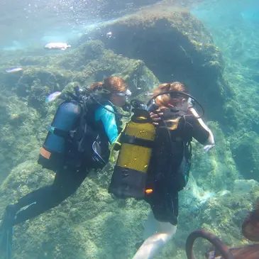 Fréjus, Var (83) - Baptême de plongée Fréjus, Var (83) - Baptême de plongée