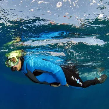 Brevet de Plongée Sous Marine, département Bouches du Rhône Brevet de Plongée Sous Marine, département Bouches du Rhône