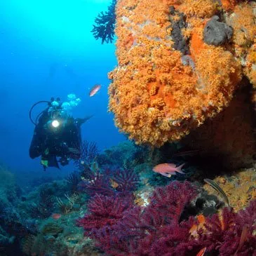 Bouches du Rhône (13) PACA et Corse - Sport Aquatique Bouches du Rhône (13) PACA et Corse - Sport Aquatique