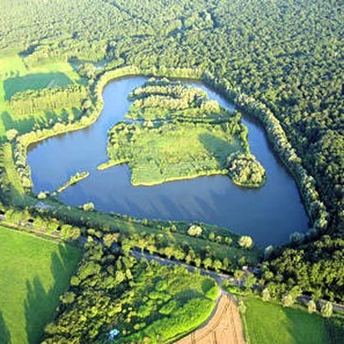 Activité : Vol en Montgolfière à Saint-Amand-les-Eaux
