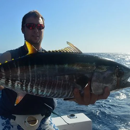 Activité : Journée de Pêche au Gros à Cannes