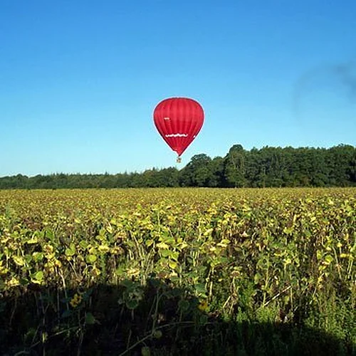 Activité : Vol en montgolfière au Château de Saumur