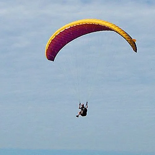 Activité : Baptême et Initiation au Parapente à Grenoble