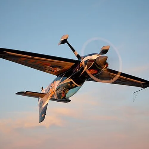Activité : Voltige et Mission de Combat en Avion à La Roche-sur-Yon