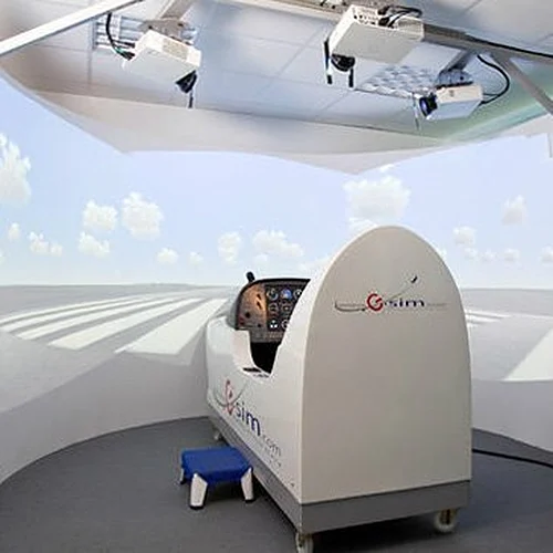 Activité : Simulateur de Vol en Avion à Metz