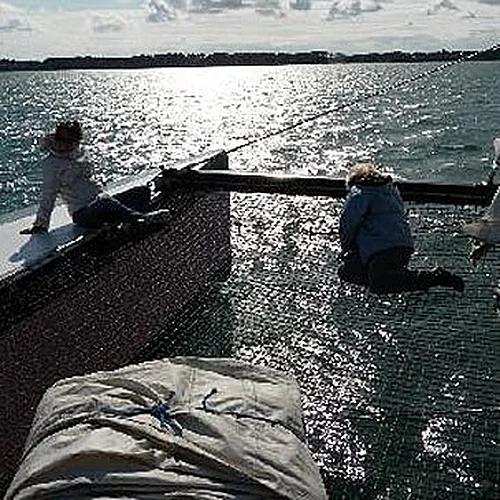 Activité : Promenade en catamaran en soirée - îles du Golfe du Morbihan