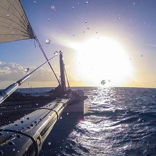 Activité : Promenade en bateau au coucher de soleil à Cogolin