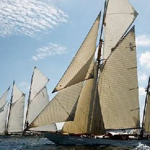 Activité : Balade en Voilier pour la Régate des Voiles de Saint-Tropez