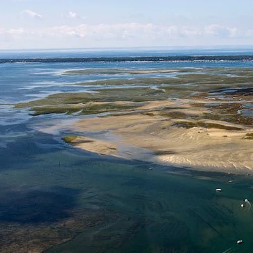 Activité : Randonnée Jet Ski vers l'Île aux Oiseaux - Bassin d'Arcachon