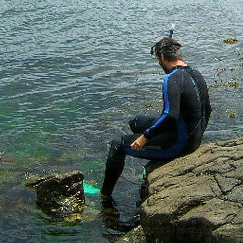 Activité : Randonnée Palmée à Saint-Malo