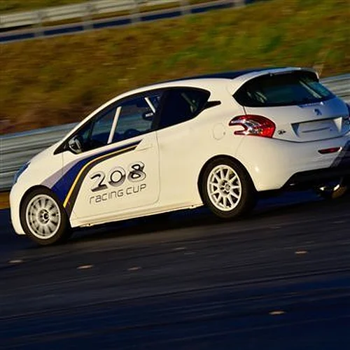 Activité : Coaching Rallye sur le Circuit d'Andrézieux