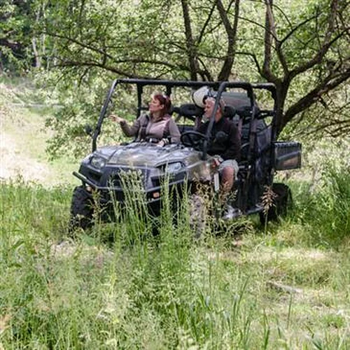 Activité : Randonnée en Buggy à Bourg-Saint-Maurice