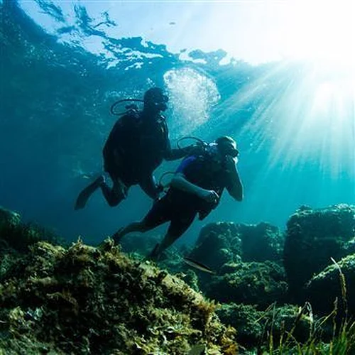 Activité : Brevet de Plongée Open Water à Nice