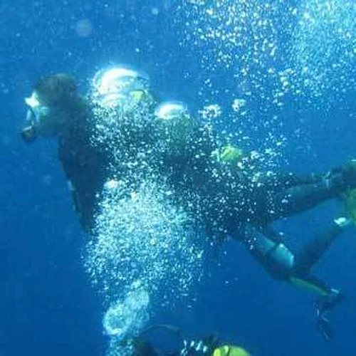 Activité : Brevet de Plongée Niveau 1 dans le Golfe de Sagone