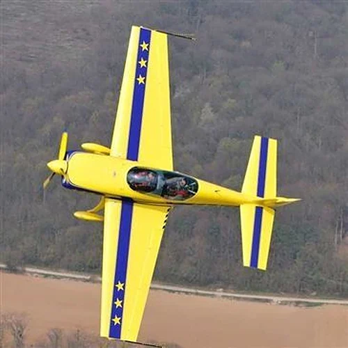 Activité : Baptême de Voltige en Avion près de L'Isle-Adam