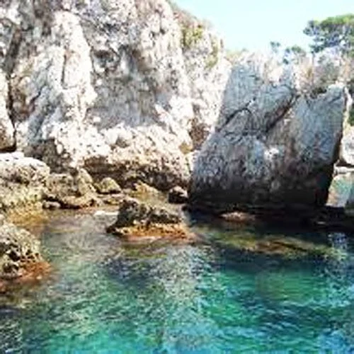 Activité : Randonnée Palmée à Villeneuve-Loubet