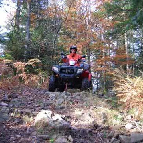 Activité : Randonnée en Quad près d'Epinal