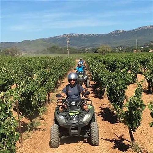 Activité : Randonnée en Quad dans le Var à Cuers