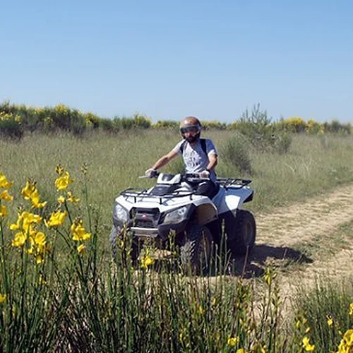Activité : Randonnée en Quad près d'Avignon