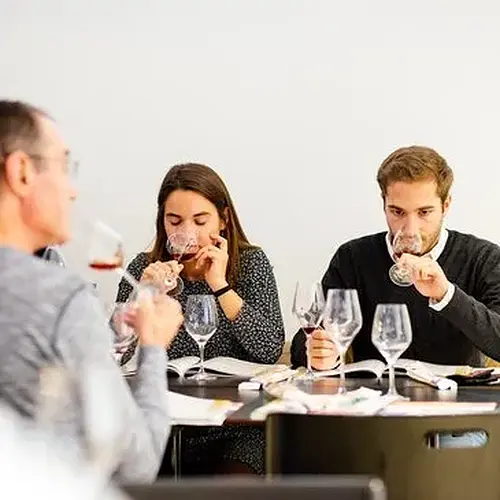 Activité : Initiation à l'Œnologie à Montpellier