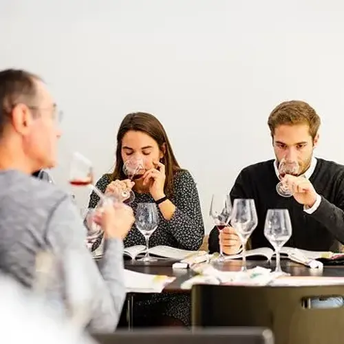 Activité : Initiation à l'Œnologie à Rennes Saint-Grégoire