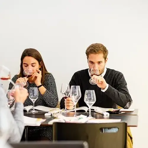 Activité : Initiation à l'Œnologie près de Toulon