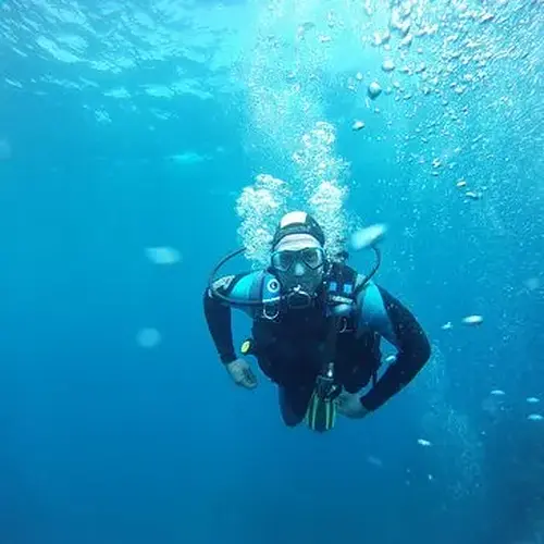 Activité : Brevet de Plongée Niveau 1 à Sainte-Maxime