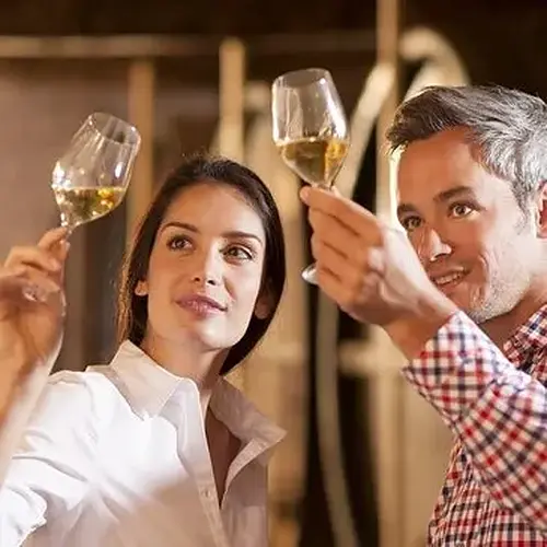 Activité : Journée d'Initiation à l'Œnologie à Angers